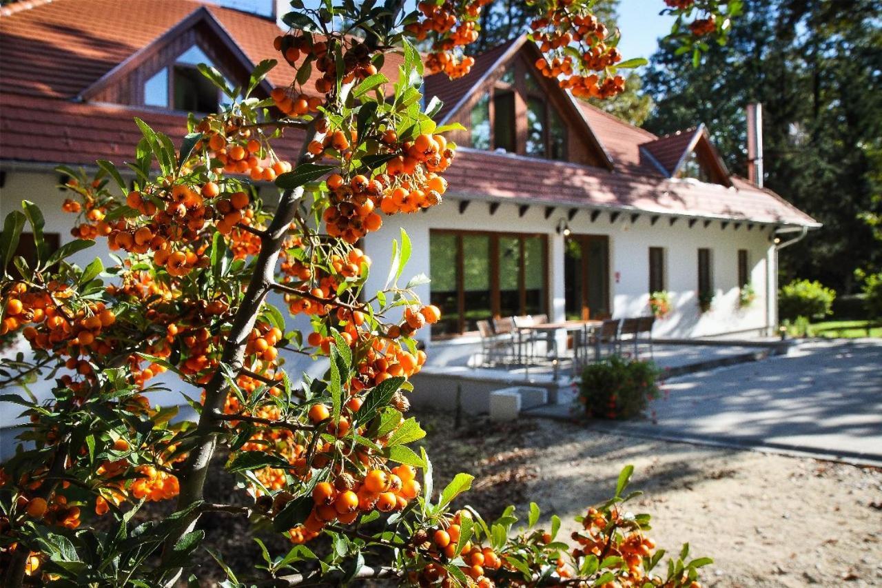 Hódoséri Vadászház Bakonyszentlaszlo Extérieur photo